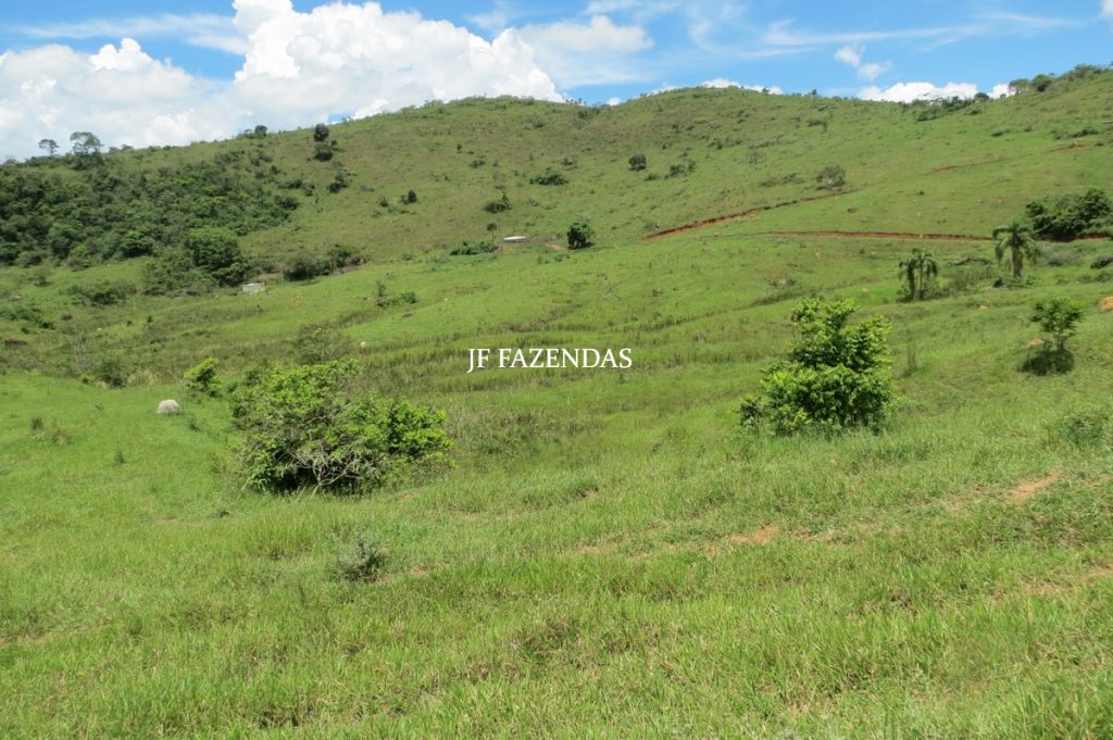 Fazenda em Bicas / MG – 86 hectares Fazenda em Bicas / MG – 86 hectares