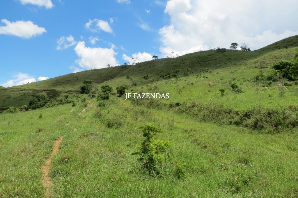 Fazenda em Bicas / MG – 86 hectares Fazenda em Bicas / MG – 86 hectares