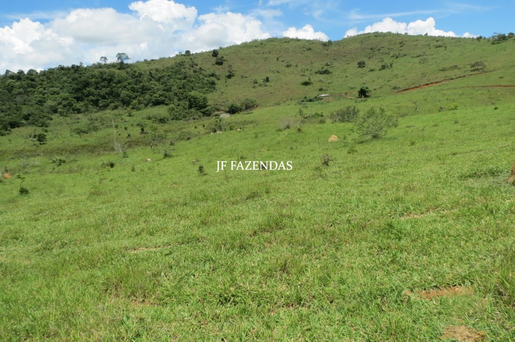 Fazenda em Bicas / MG – 86 hectares Fazenda em Bicas / MG – 86 hectares