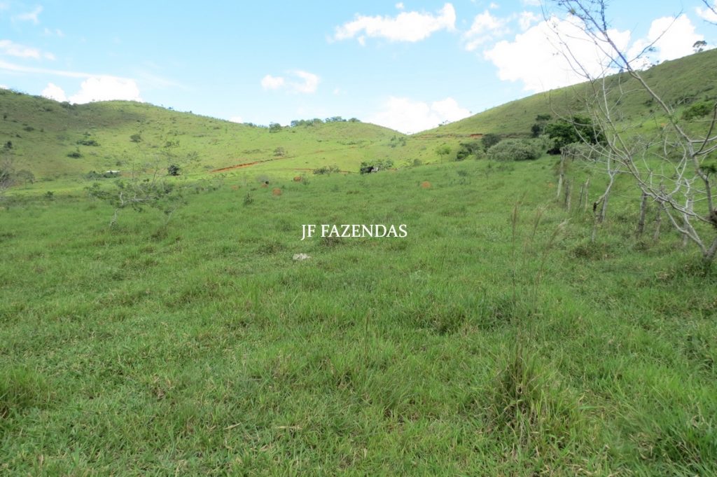 Fazenda em Bicas / MG – 86 hectares Fazenda em Bicas / MG – 86 hectares