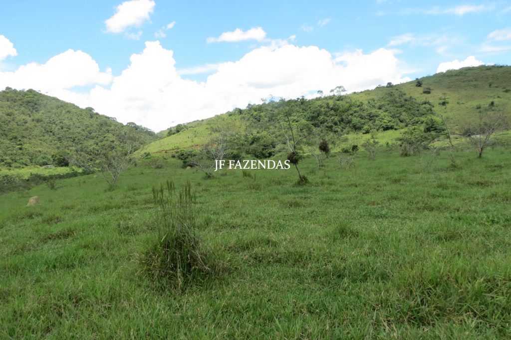 Fazenda em Bicas / MG – 86 hectares Fazenda em Bicas / MG – 86 hectares