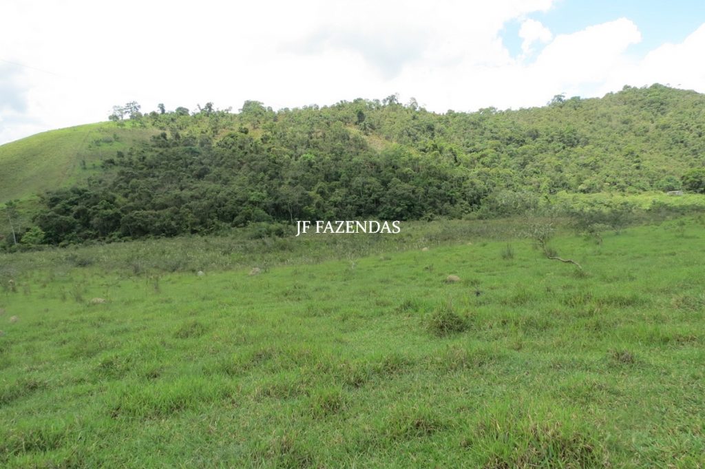 Fazenda em Bicas / MG – 86 hectares Fazenda em Bicas / MG – 86 hectares