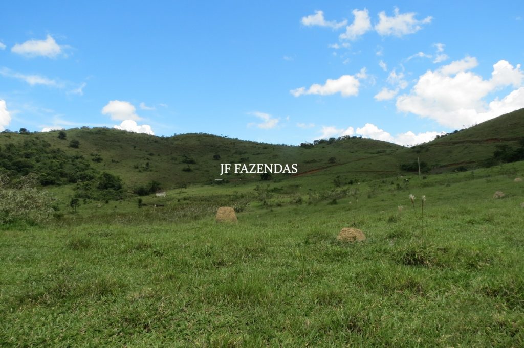 Fazenda em Bicas / MG – 86 hectares Fazenda em Bicas / MG – 86 hectares