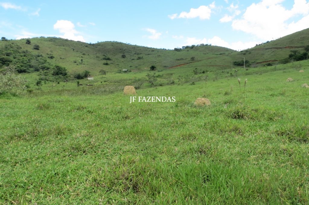 Fazenda em Bicas / MG – 86 hectares Fazenda em Bicas / MG – 86 hectares