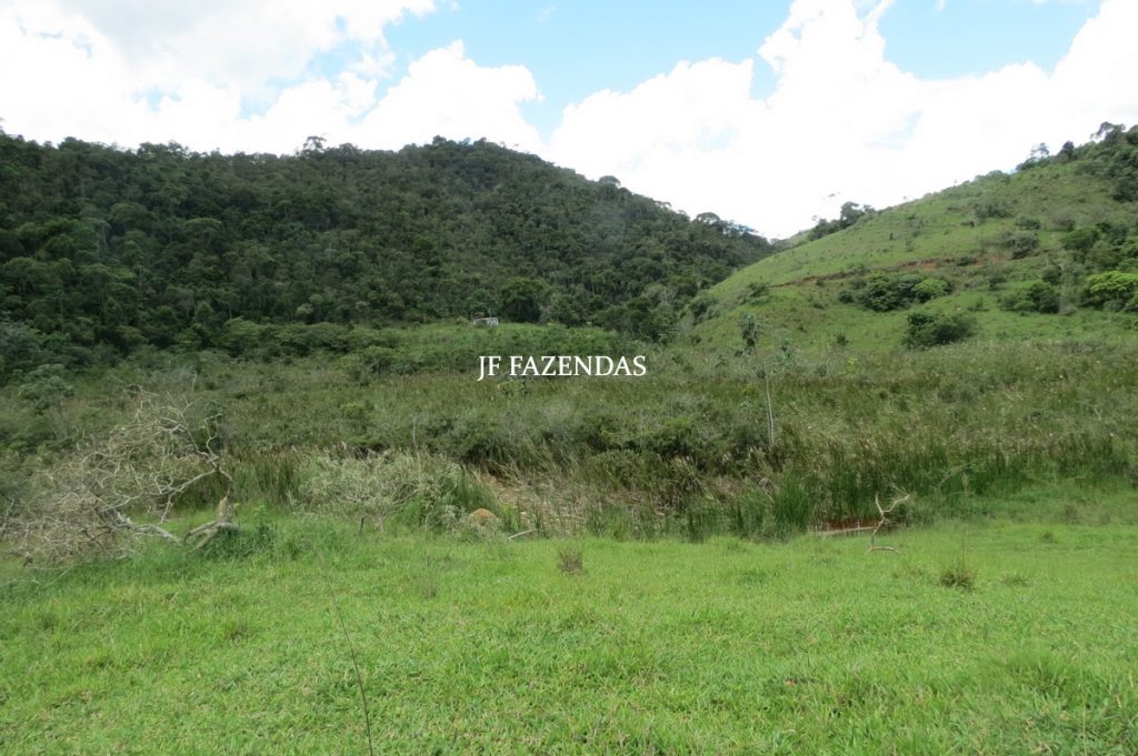 Fazenda em Bicas / MG – 86 hectares Fazenda em Bicas / MG – 86 hectares
