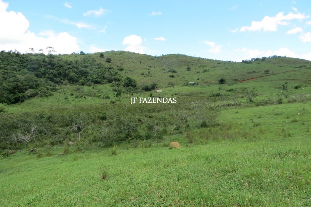 Fazenda em Bicas / MG – 86 hectares Fazenda em Bicas / MG – 86 hectares
