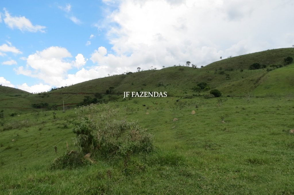 Fazenda em Bicas / MG – 86 hectares Fazenda em Bicas / MG – 86 hectares