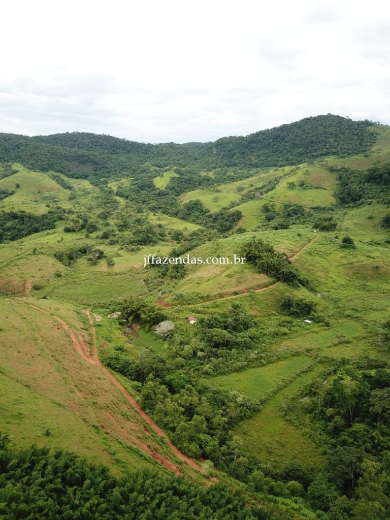 Fazenda em Muriaé-MG – 1568 hectares