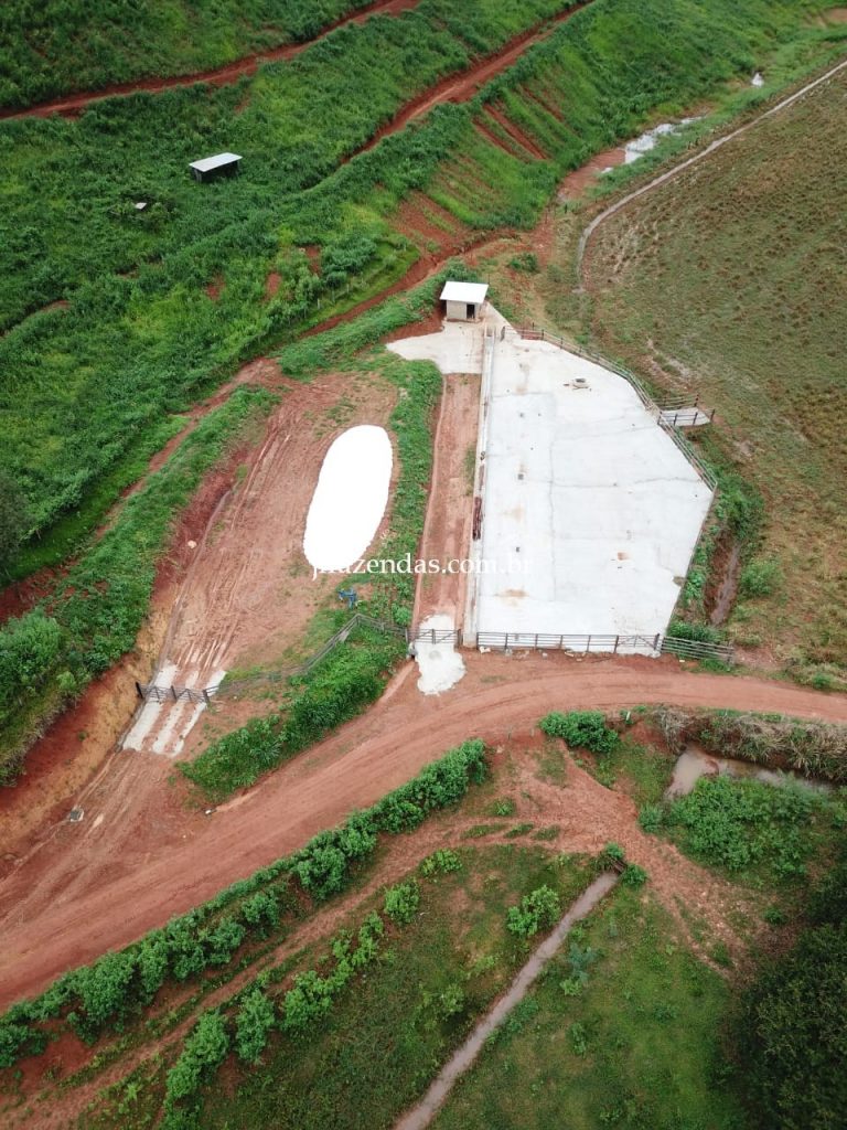 Fazenda em Muriaé-MG – 1568 hectares