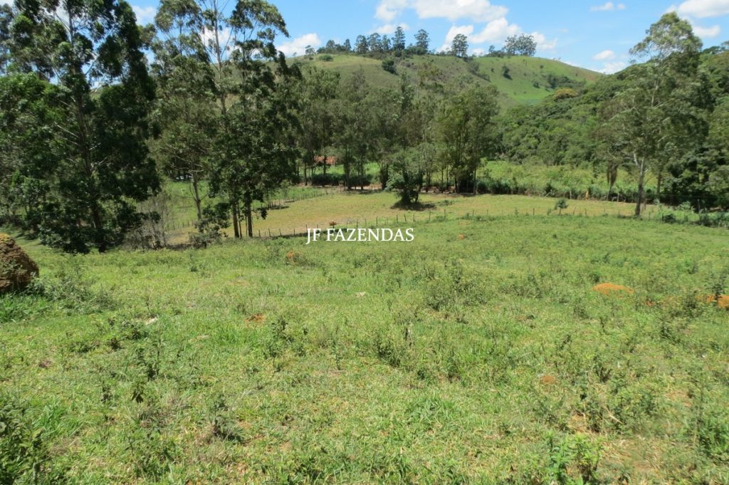 Sítio em Chácara/MG – 39,2 hectares Sítio em Chácara/MG – 39,2 hectares