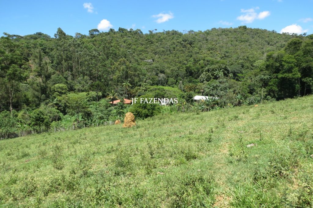 Sítio em Chácara/MG – 39,2 hectares Sítio em Chácara/MG – 39,2 hectares