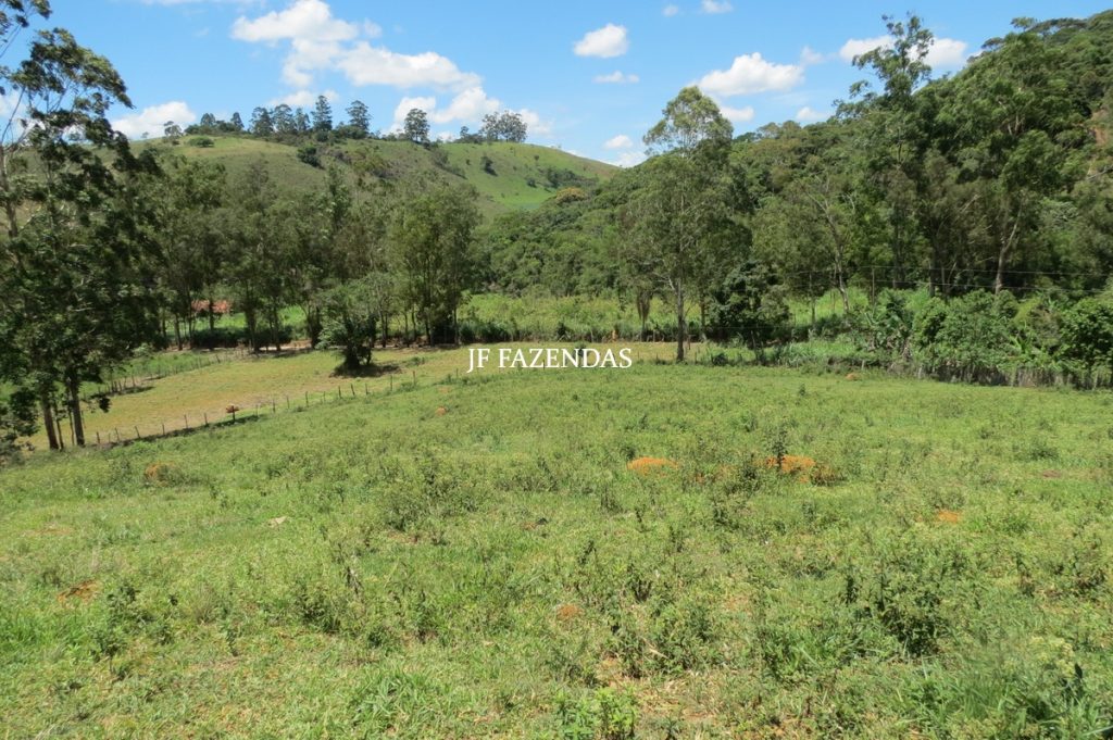 Sítio em Chácara/MG – 39,2 hectares Sítio em Chácara/MG – 39,2 hectares