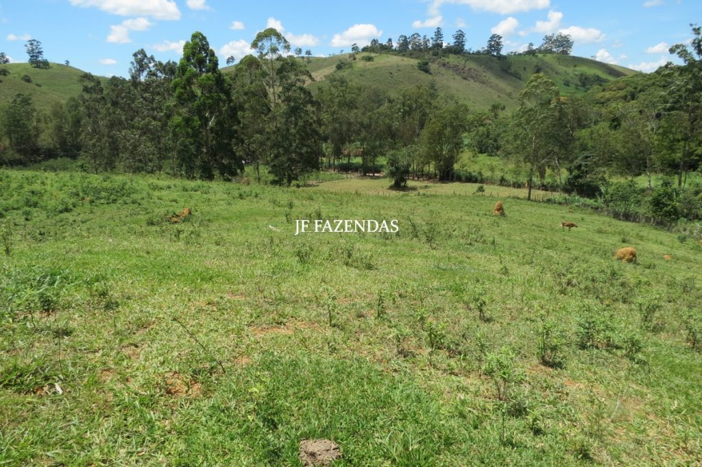 Sítio em Chácara/MG – 39,2 hectares Sítio em Chácara/MG – 39,2 hectares