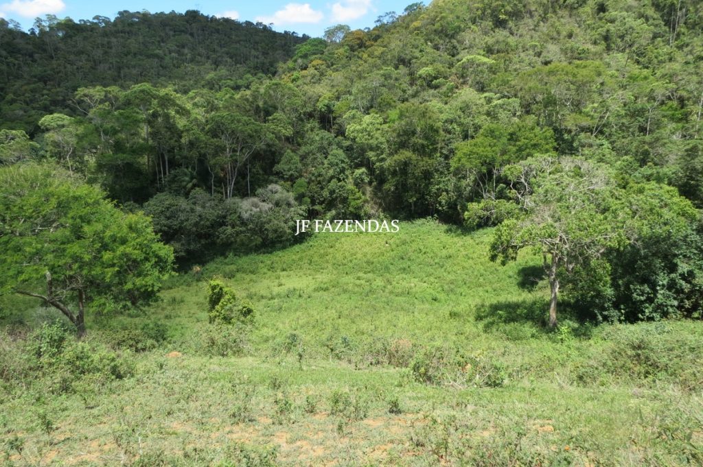 Sítio em Chácara/MG – 39,2 hectares Sítio em Chácara/MG – 39,2 hectares