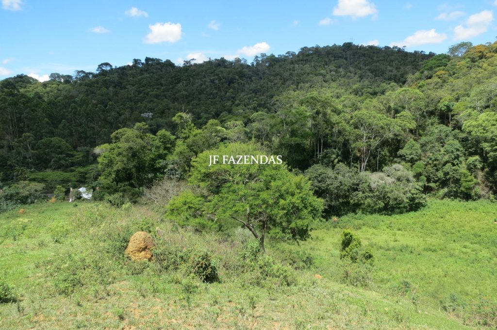 Sítio em Chácara/MG – 39,2 hectares Sítio em Chácara/MG – 39,2 hectares
