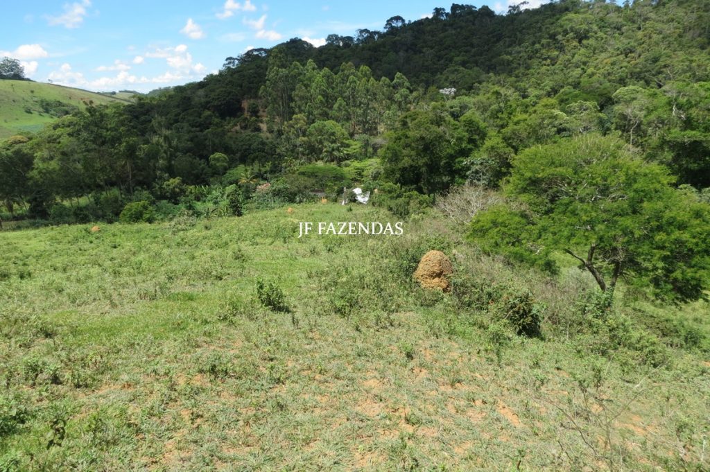 Sítio em Chácara/MG – 39,2 hectares Sítio em Chácara/MG – 39,2 hectares