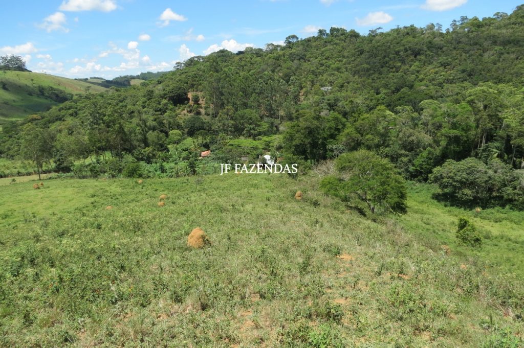 Sítio em Chácara/MG – 39,2 hectares Sítio em Chácara/MG – 39,2 hectares