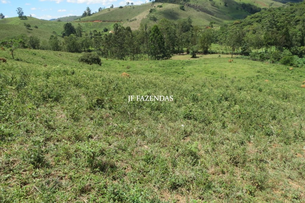 Sítio em Chácara/MG – 39,2 hectares Sítio em Chácara/MG – 39,2 hectares