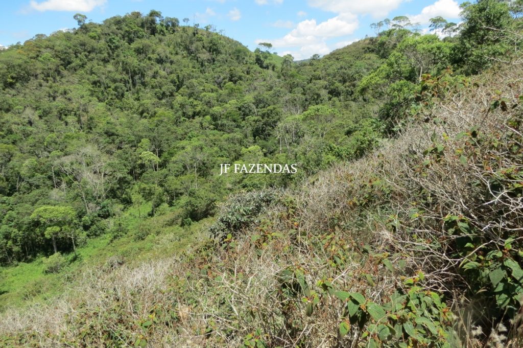 Sítio em Chácara/MG – 39,2 hectares Sítio em Chácara/MG – 39,2 hectares