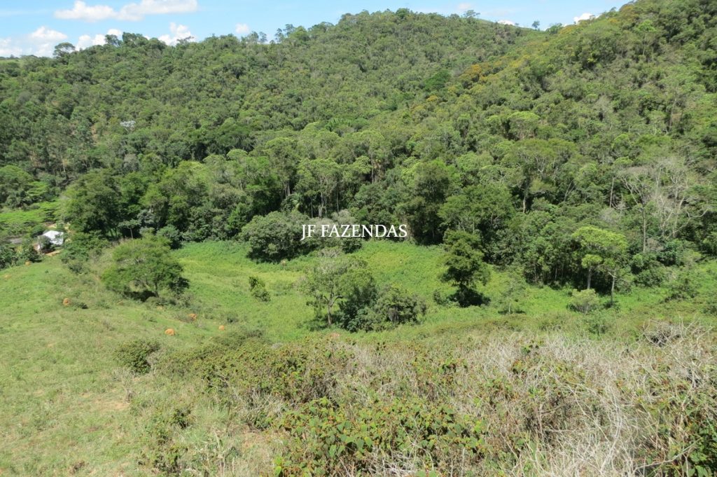 Sítio em Chácara/MG – 39,2 hectares Sítio em Chácara/MG – 39,2 hectares