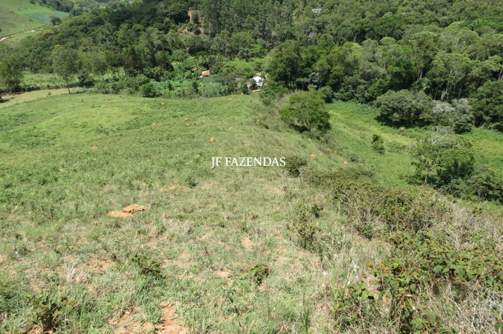 Sítio em Chácara/MG – 39,2 hectares Sítio em Chácara/MG – 39,2 hectares
