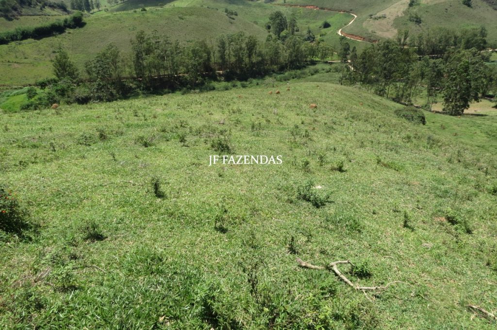 Sítio em Chácara/MG – 39,2 hectares Sítio em Chácara/MG – 39,2 hectares