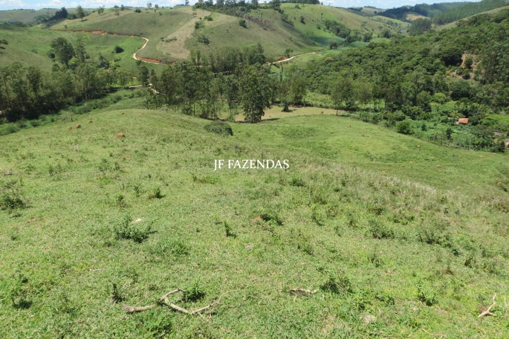 Sítio em Chácara/MG – 39,2 hectares Sítio em Chácara/MG – 39,2 hectares