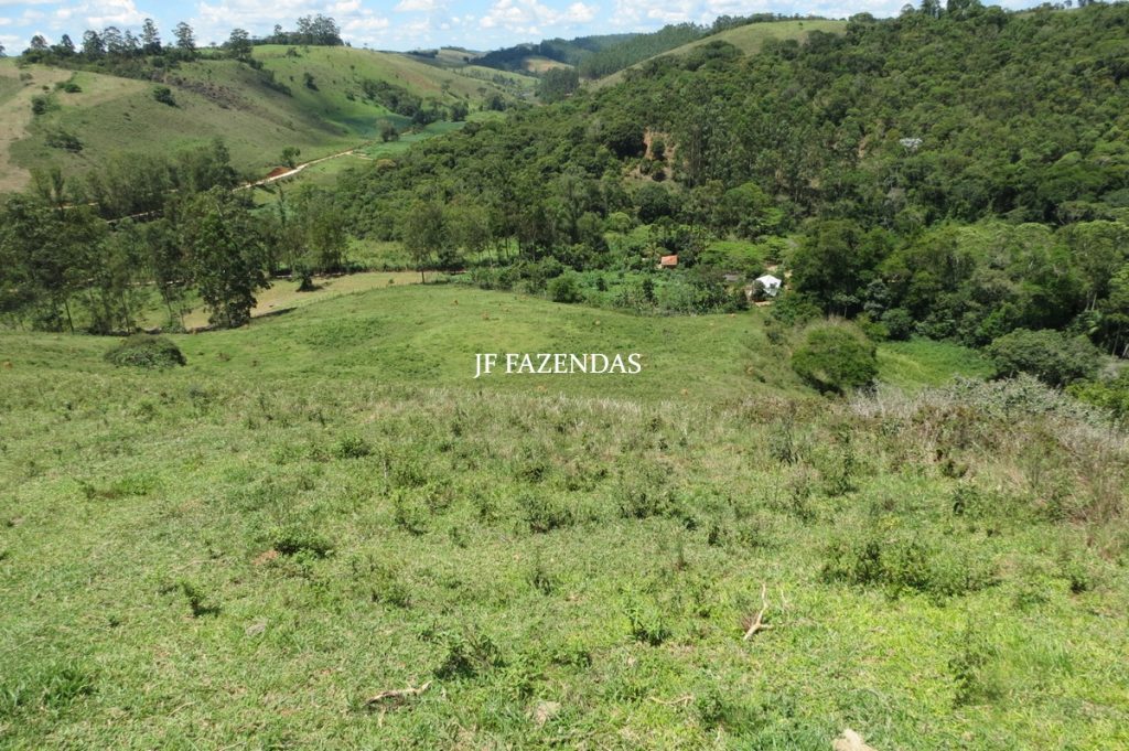 Sítio em Chácara/MG – 39,2 hectares Sítio em Chácara/MG – 39,2 hectares