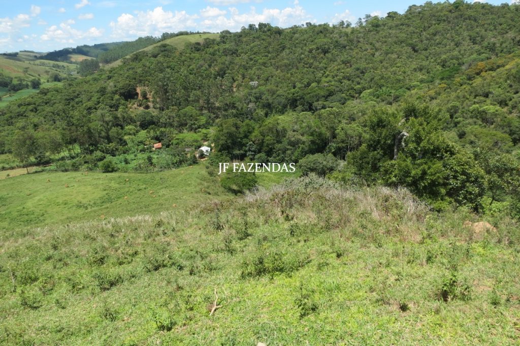 Sítio em Chácara/MG – 39,2 hectares Sítio em Chácara/MG – 39,2 hectares
