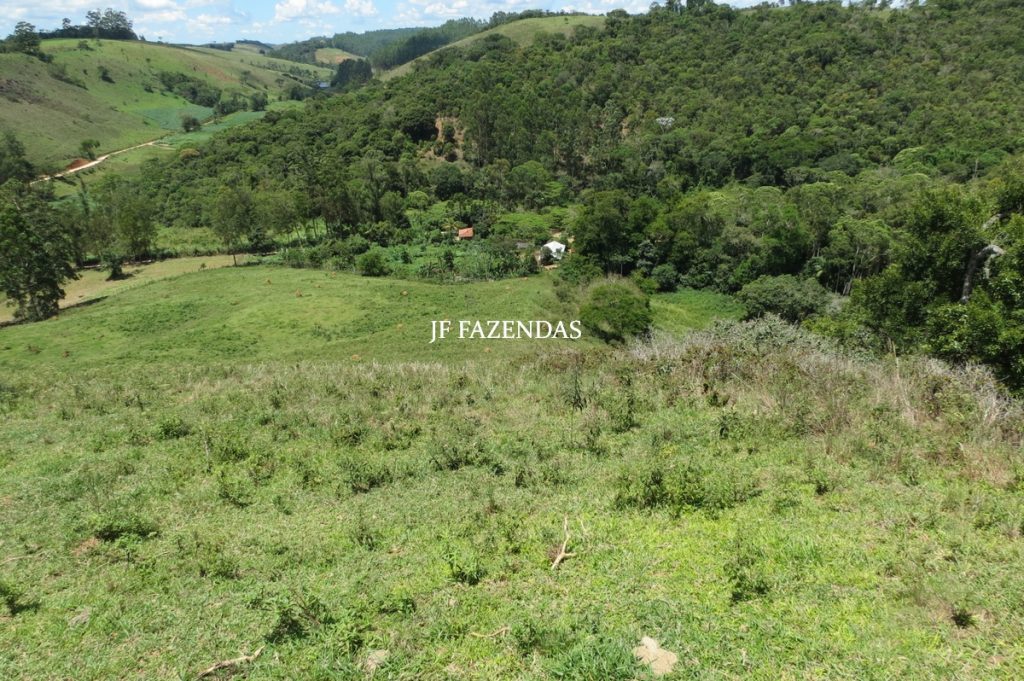Sítio em Chácara/MG – 39,2 hectares Sítio em Chácara/MG – 39,2 hectares