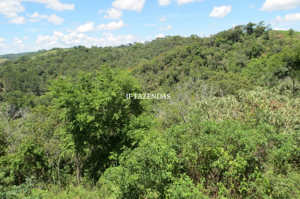 Sítio em Chácara/MG – 39,2 hectares Sítio em Chácara/MG – 39,2 hectares