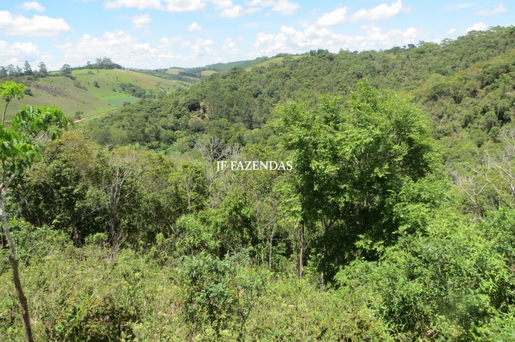 Sítio em Chácara/MG – 39,2 hectares Sítio em Chácara/MG – 39,2 hectares