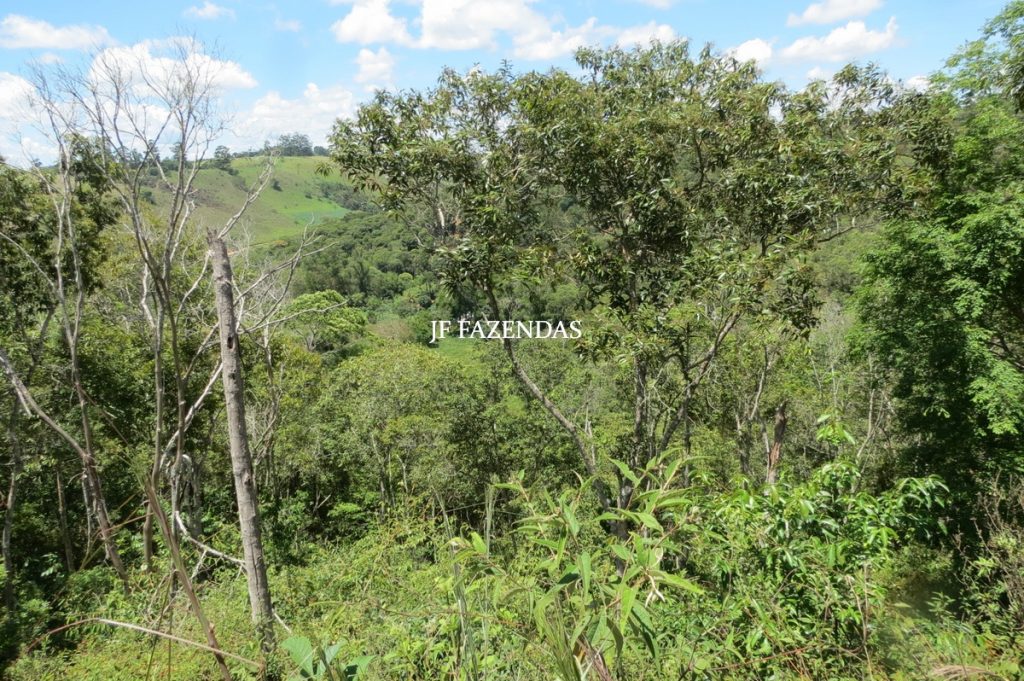 Sítio em Chácara/MG – 39,2 hectares Sítio em Chácara/MG – 39,2 hectares