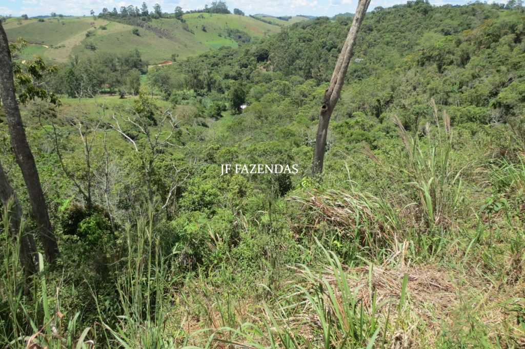 Sítio em Chácara/MG – 39,2 hectares Sítio em Chácara/MG – 39,2 hectares