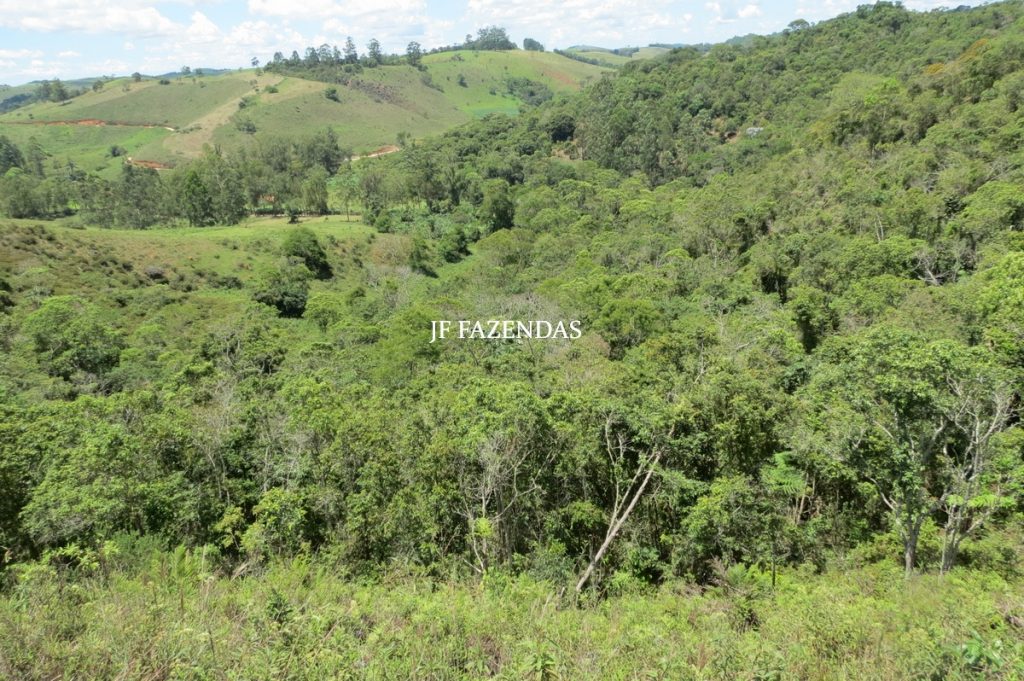 Sítio em Chácara/MG – 39,2 hectares Sítio em Chácara/MG – 39,2 hectares