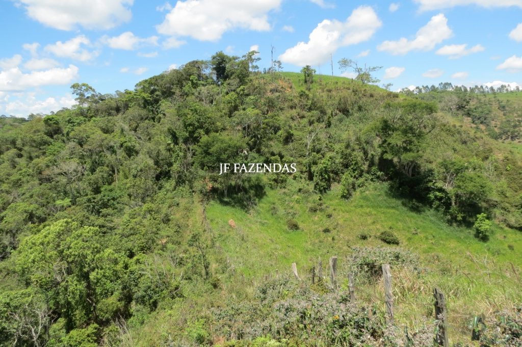 Sítio em Chácara/MG – 39,2 hectares Sítio em Chácara/MG – 39,2 hectares