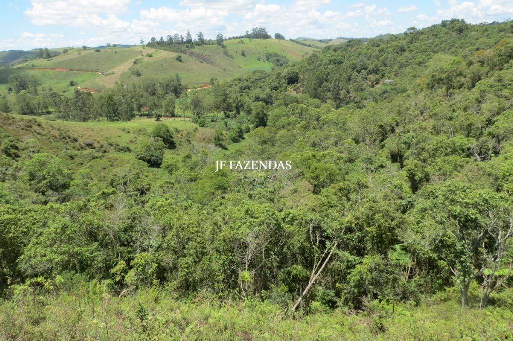 Sítio em Chácara/MG – 39,2 hectares Sítio em Chácara/MG – 39,2 hectares