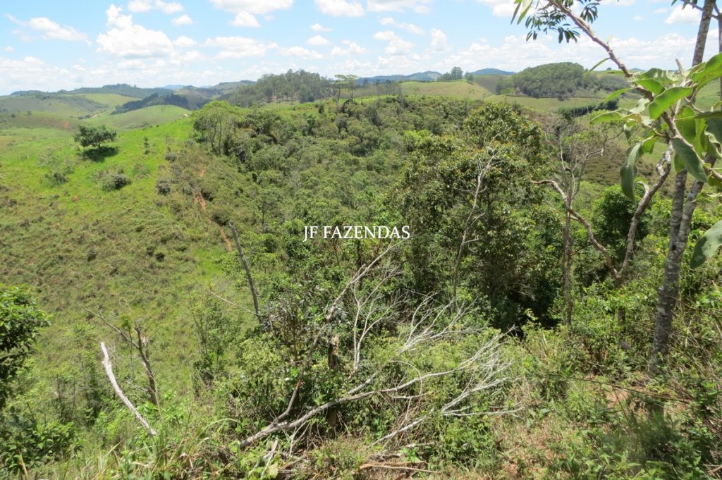 Sítio em Chácara/MG – 39,2 hectares Sítio em Chácara/MG – 39,2 hectares