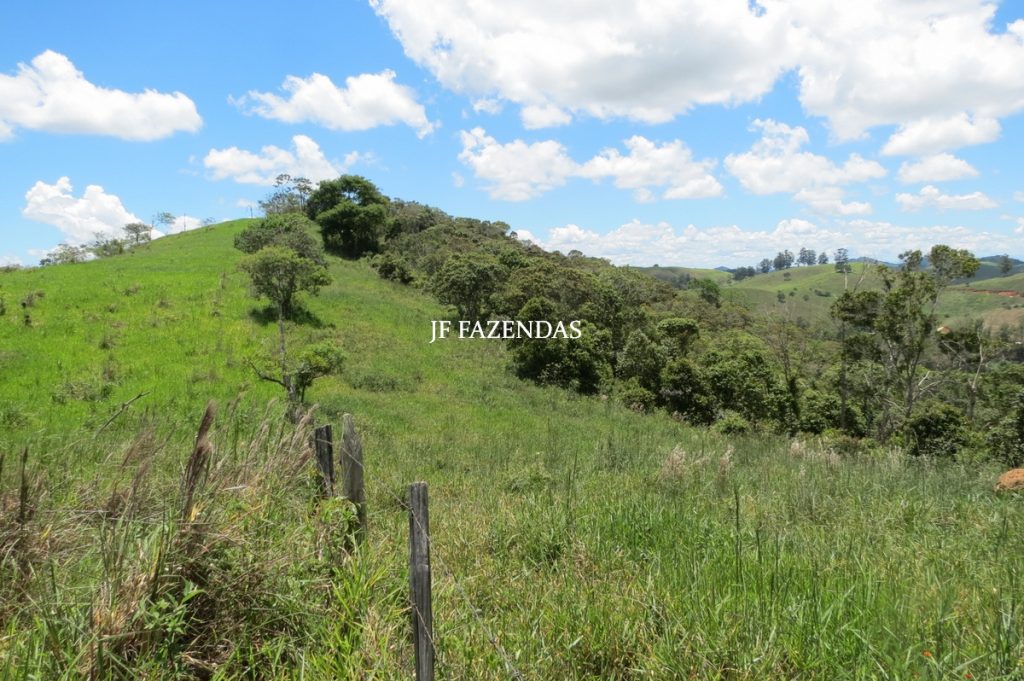 Sítio em Chácara/MG – 39,2 hectares Sítio em Chácara/MG – 39,2 hectares