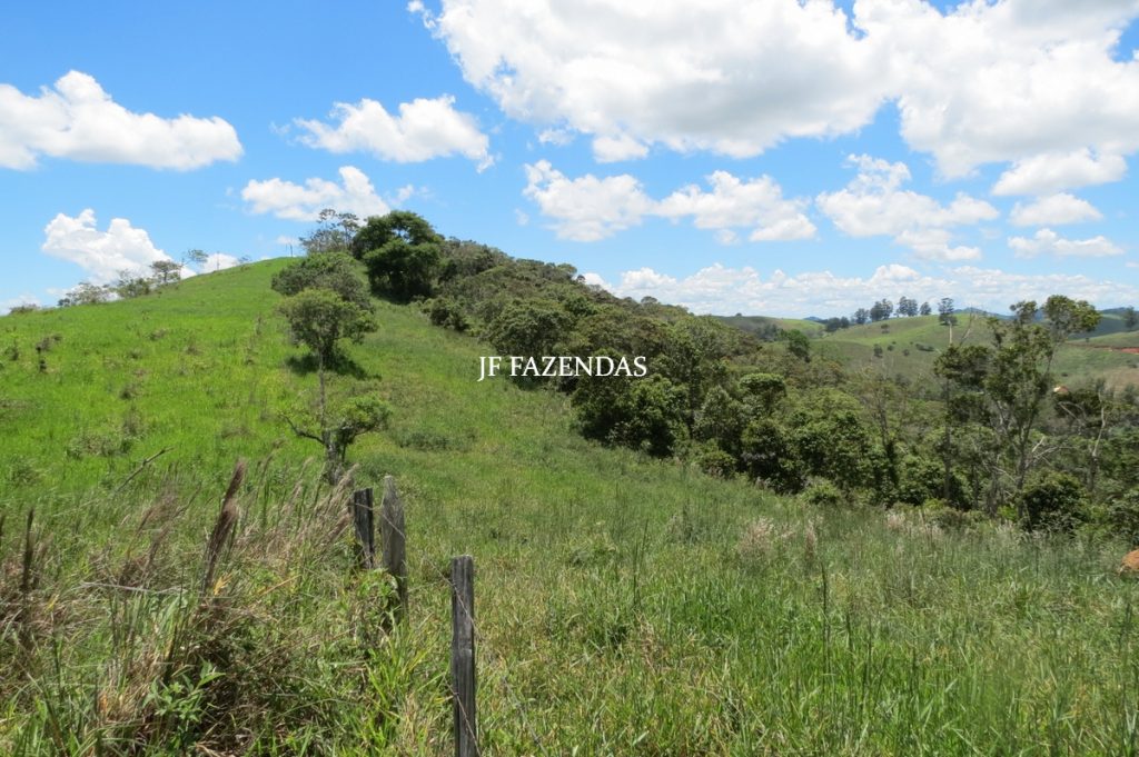 Sítio em Chácara/MG – 39,2 hectares Sítio em Chácara/MG – 39,2 hectares