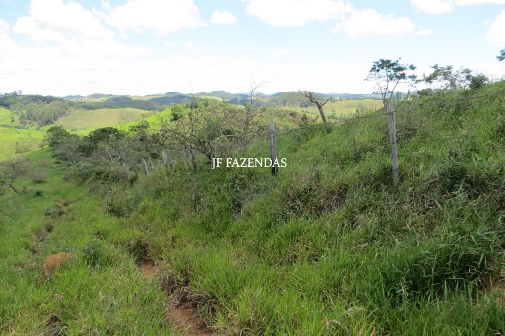 Sítio em Chácara/MG – 39,2 hectares Sítio em Chácara/MG – 39,2 hectares
