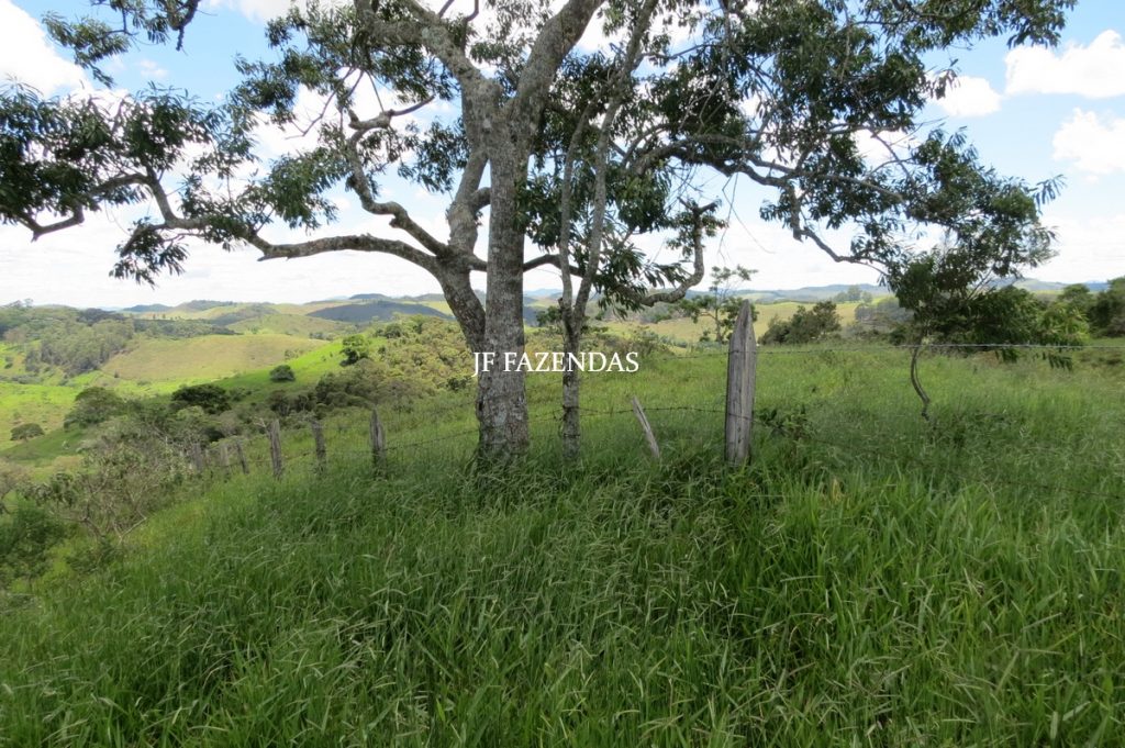 Sítio em Chácara/MG – 39,2 hectares Sítio em Chácara/MG – 39,2 hectares