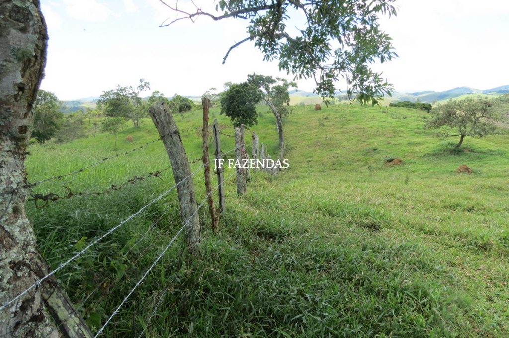 Sítio em Chácara/MG – 39,2 hectares Sítio em Chácara/MG – 39,2 hectares
