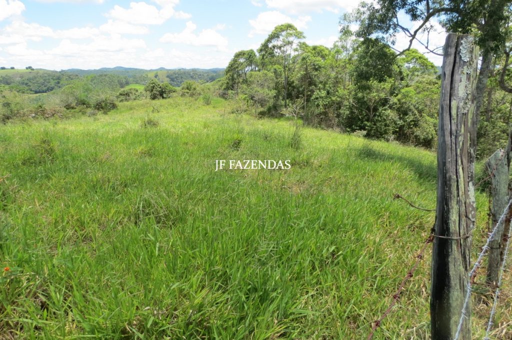 Sítio em Chácara/MG – 39,2 hectares Sítio em Chácara/MG – 39,2 hectares