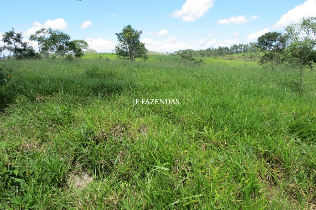 Sítio em Chácara/MG – 39,2 hectares Sítio em Chácara/MG – 39,2 hectares