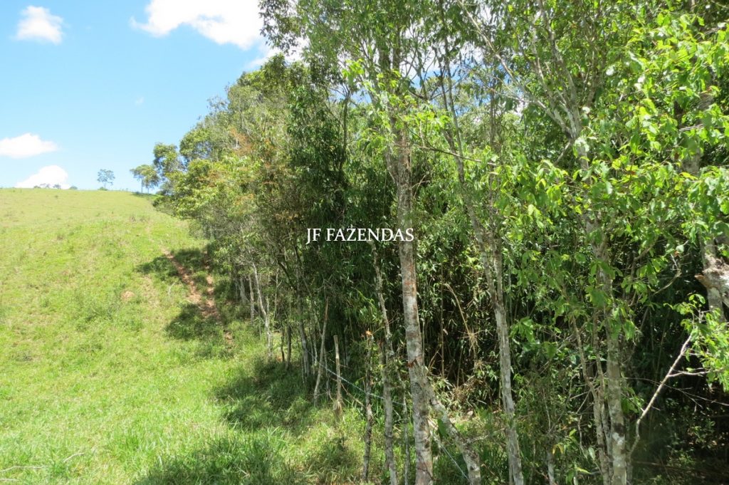 Sítio em Chácara/MG – 39,2 hectares Sítio em Chácara/MG – 39,2 hectares