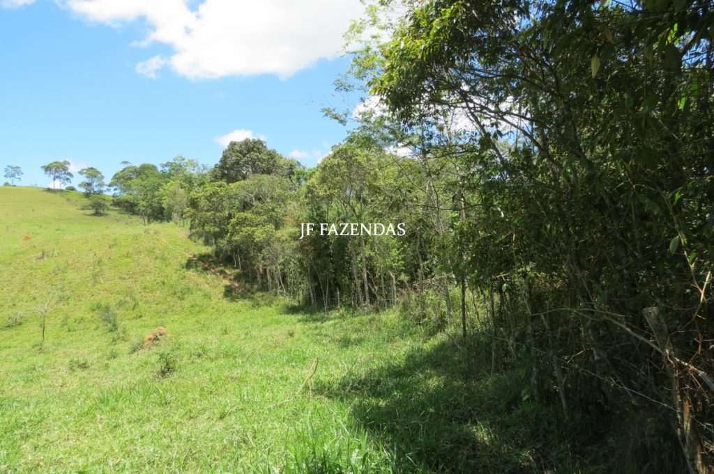 Sítio em Chácara/MG – 39,2 hectares Sítio em Chácara/MG – 39,2 hectares