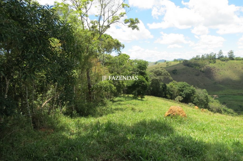 Sítio em Chácara/MG – 39,2 hectares Sítio em Chácara/MG – 39,2 hectares