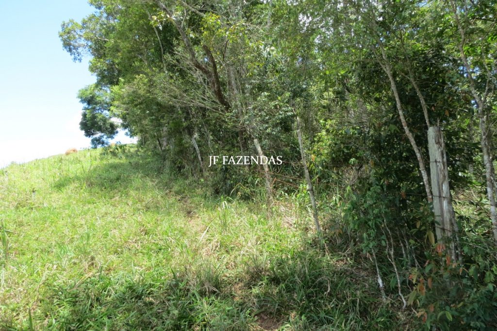 Sítio em Chácara/MG – 39,2 hectares Sítio em Chácara/MG – 39,2 hectares