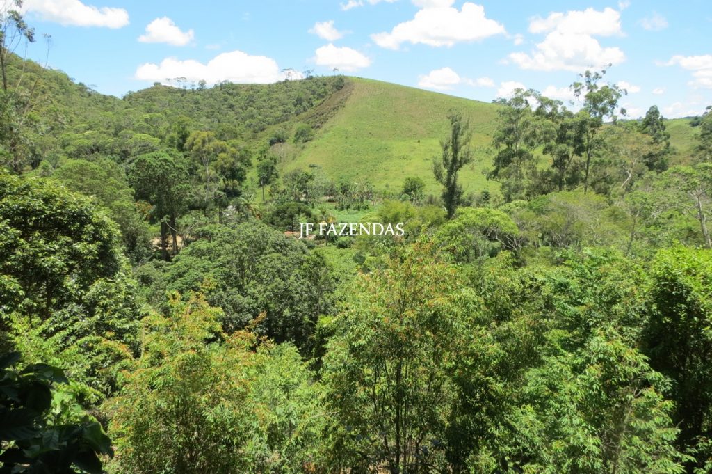 Sítio em Chácara/MG – 39,2 hectares Sítio em Chácara/MG – 39,2 hectares